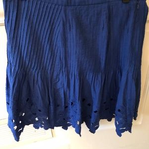 J. Crew Blue Skirt